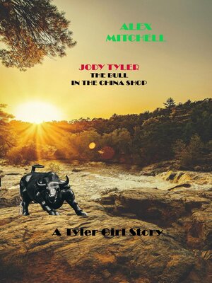 cover image of Jody Tyler the Bull in the China Shop